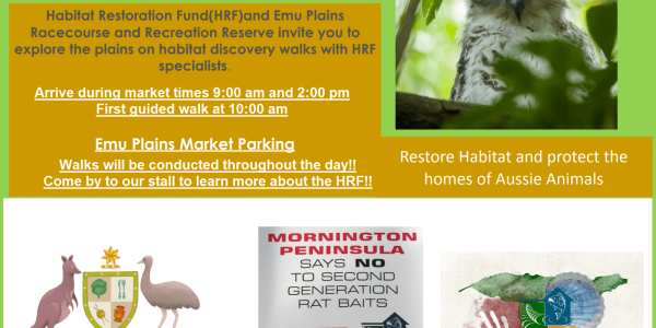 18feb walks at market