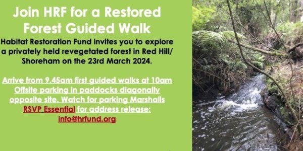 Shands Rd Walk Flyer 23rd March 2024 - revised