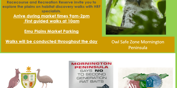 emu planes walk pamphlet